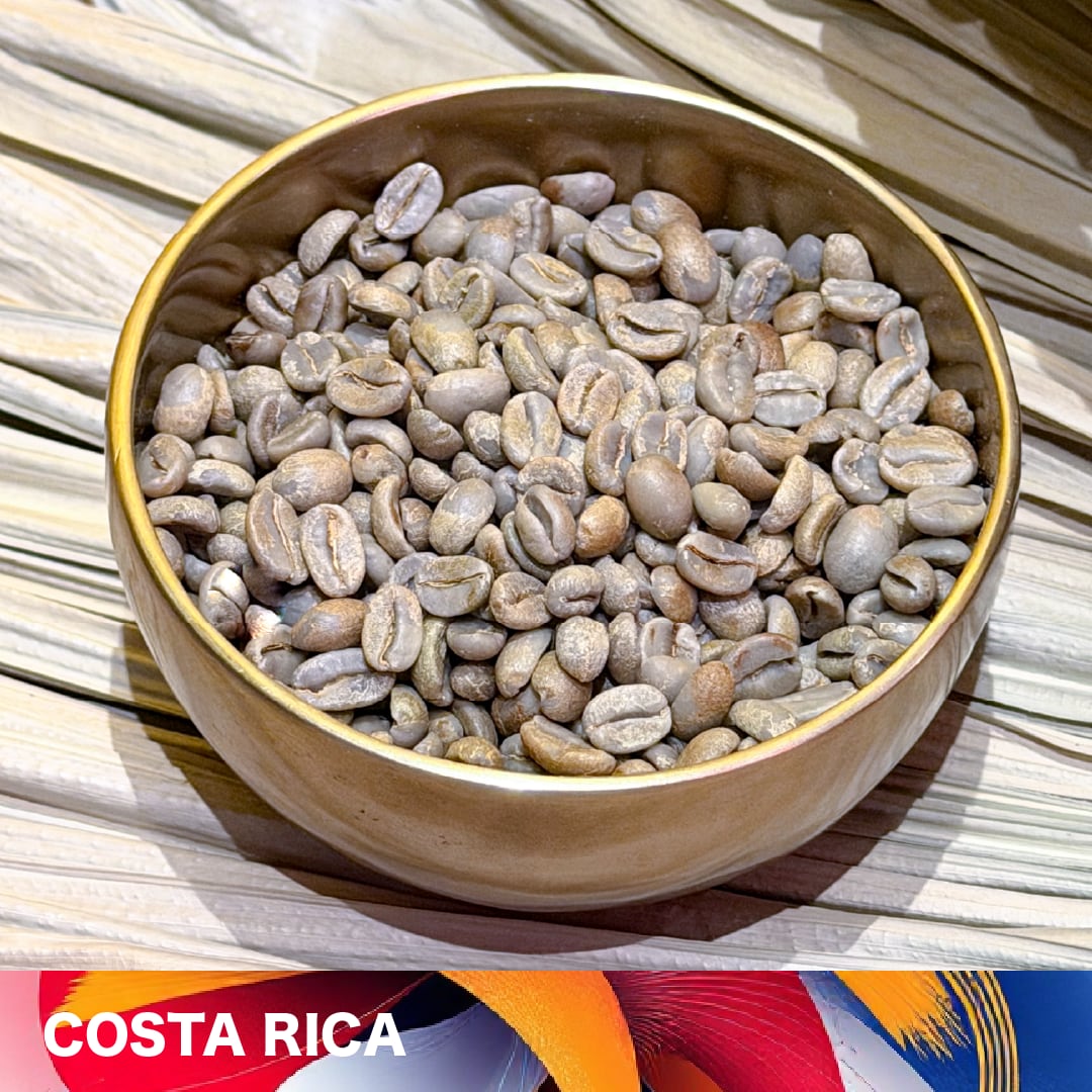 生豆】コスタリカ サンタルシア レッドハニー 100g | HASABA COFFEE