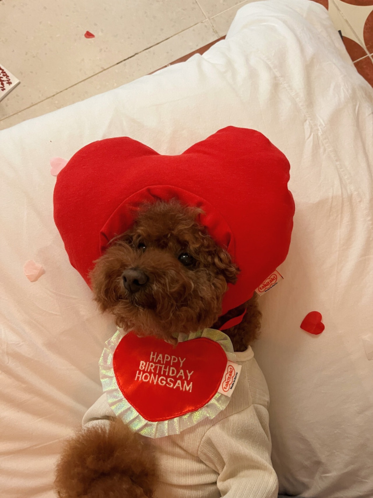 予約【tak! tak! tak! tak! 】birthday heart cap | marble 