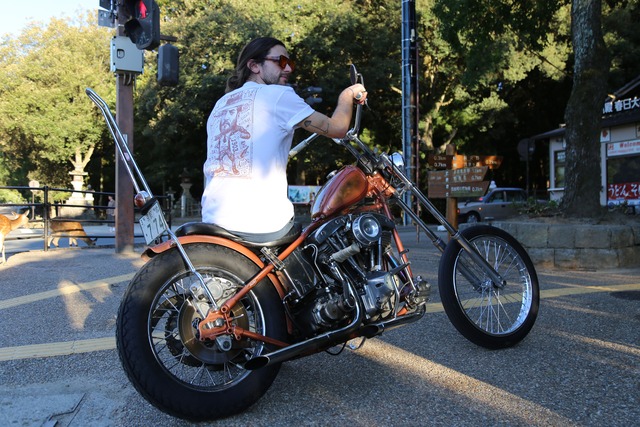 Whale & Co. POSADA` アート Tシャツ