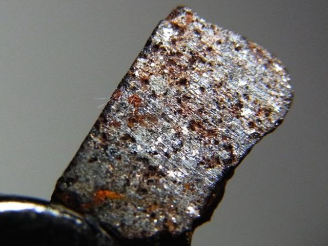 【 隕石 】石質隕石 NWA7179 スライス 0.34g 普通コンドライト Hタイプ