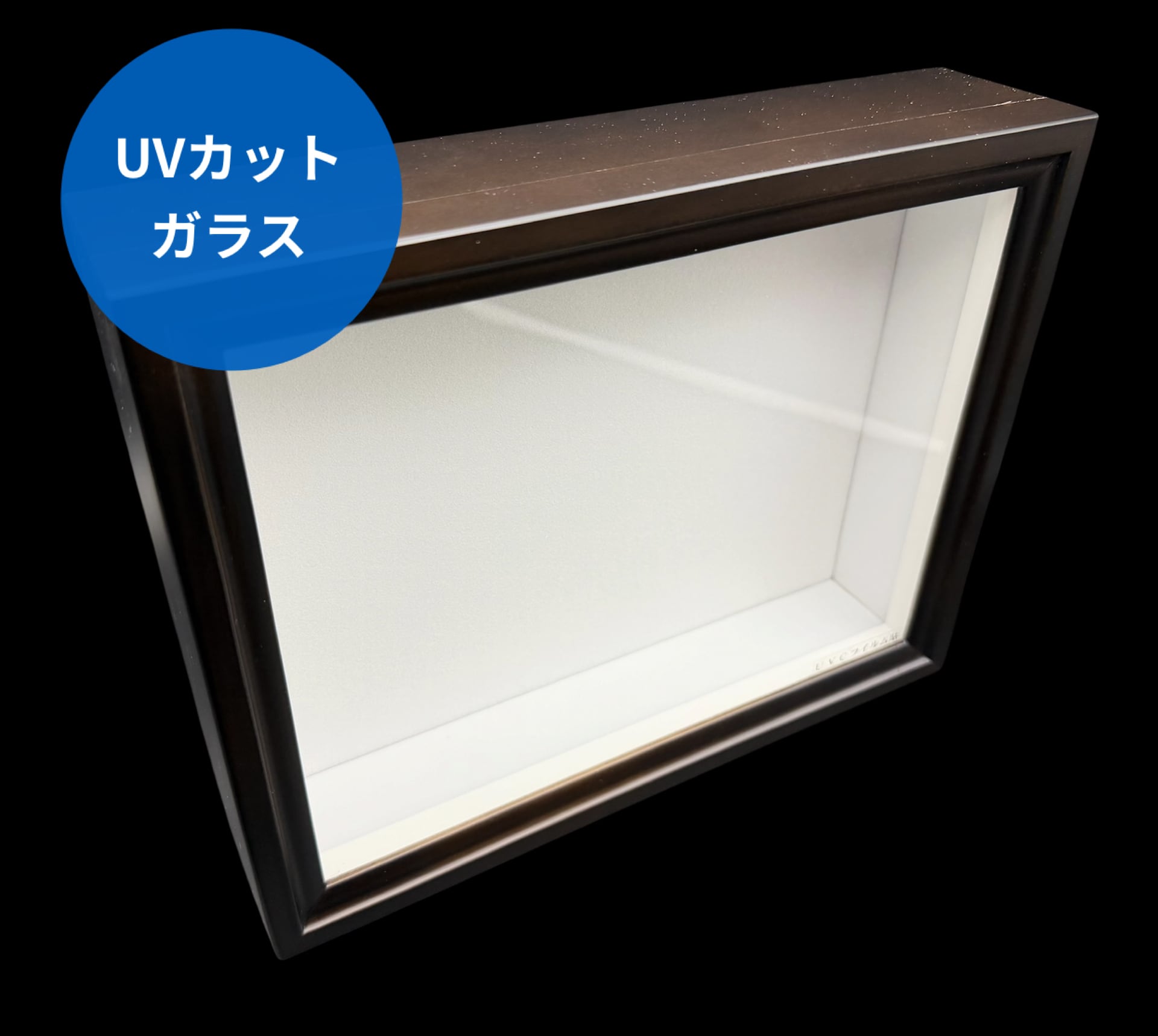 標本箱 | KPW BASE店