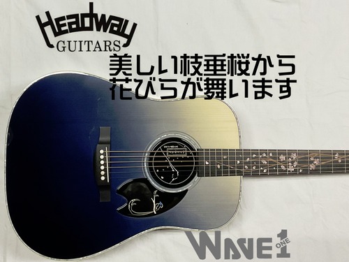 【Headway】HD-SHIDAREZAKURA’23 SF,S-ESU/ATB 青富士桜〈生産数８本〉