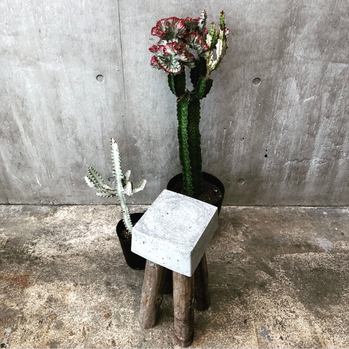 コンクリートスツール 46old④ コンクリートスツール 46old④