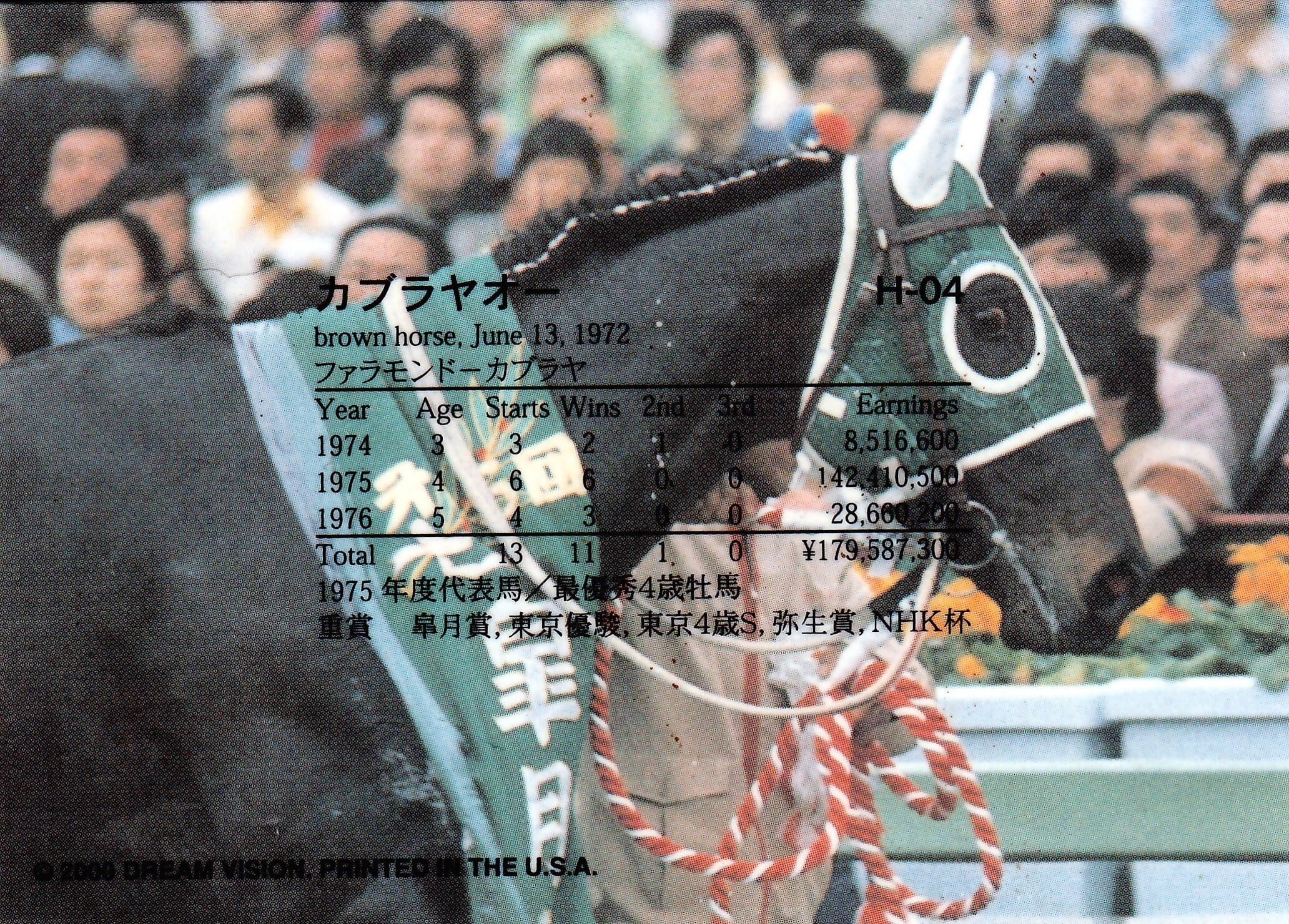 カブラヤオー(Valiant)「The Victory 2000」H-04 | PAY ID