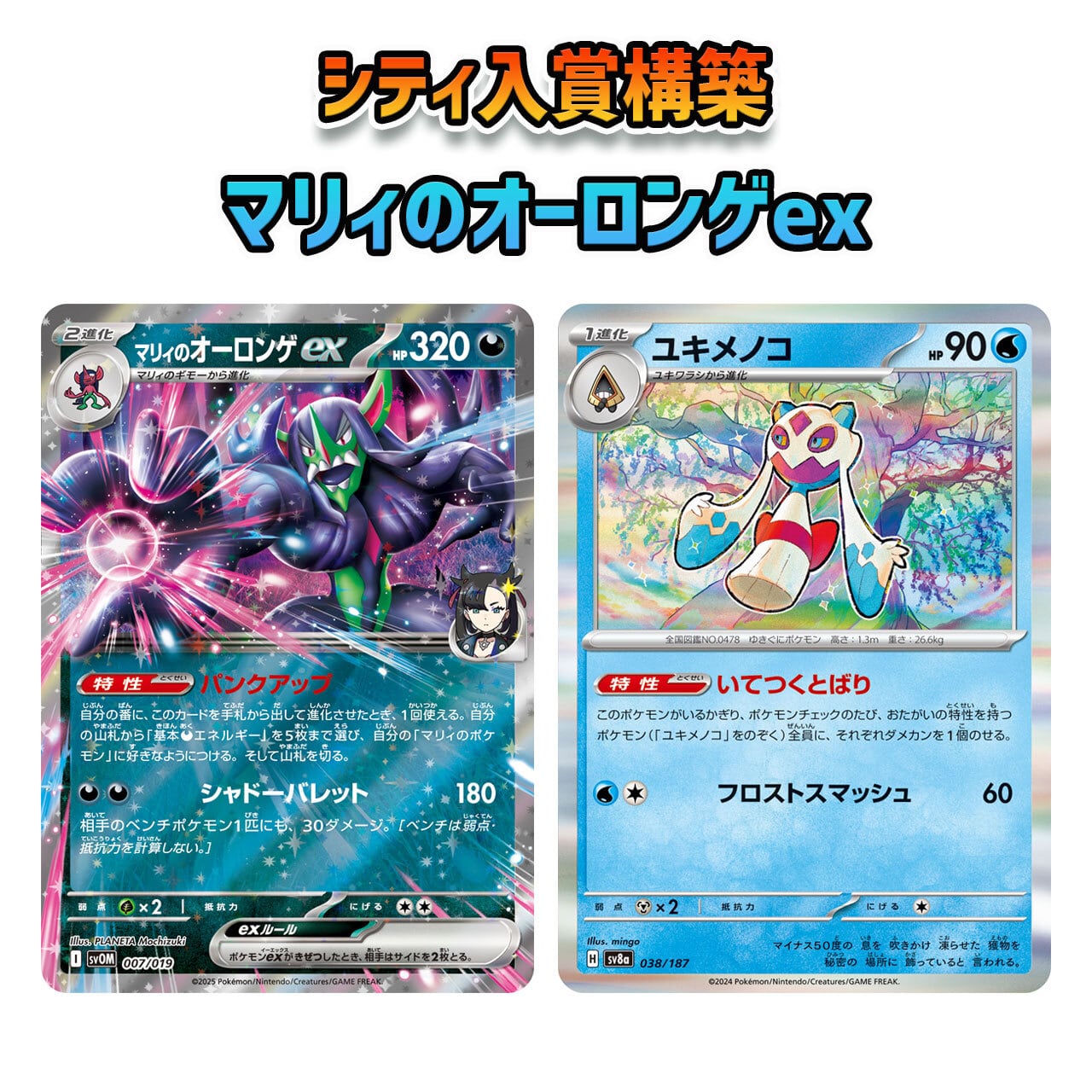 デッキ販売 | ポケモンカード専門店 Cobalt Cave