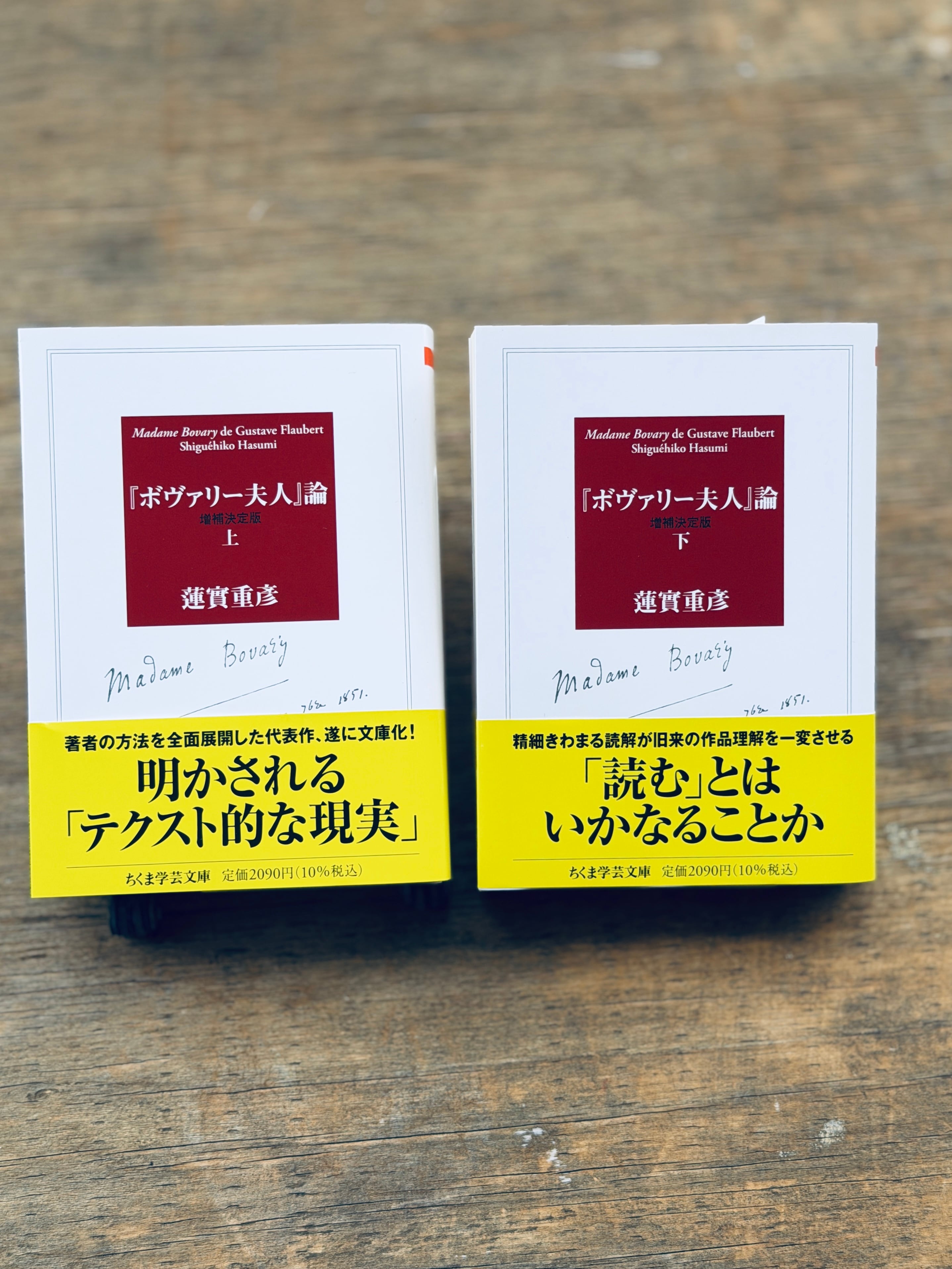 蓮實重彦『ボヴァリー夫人』論（増補決定版・ちくま学芸文庫）上・下