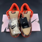 SB DUNK LOW PRO SB HUNTER 304292-281