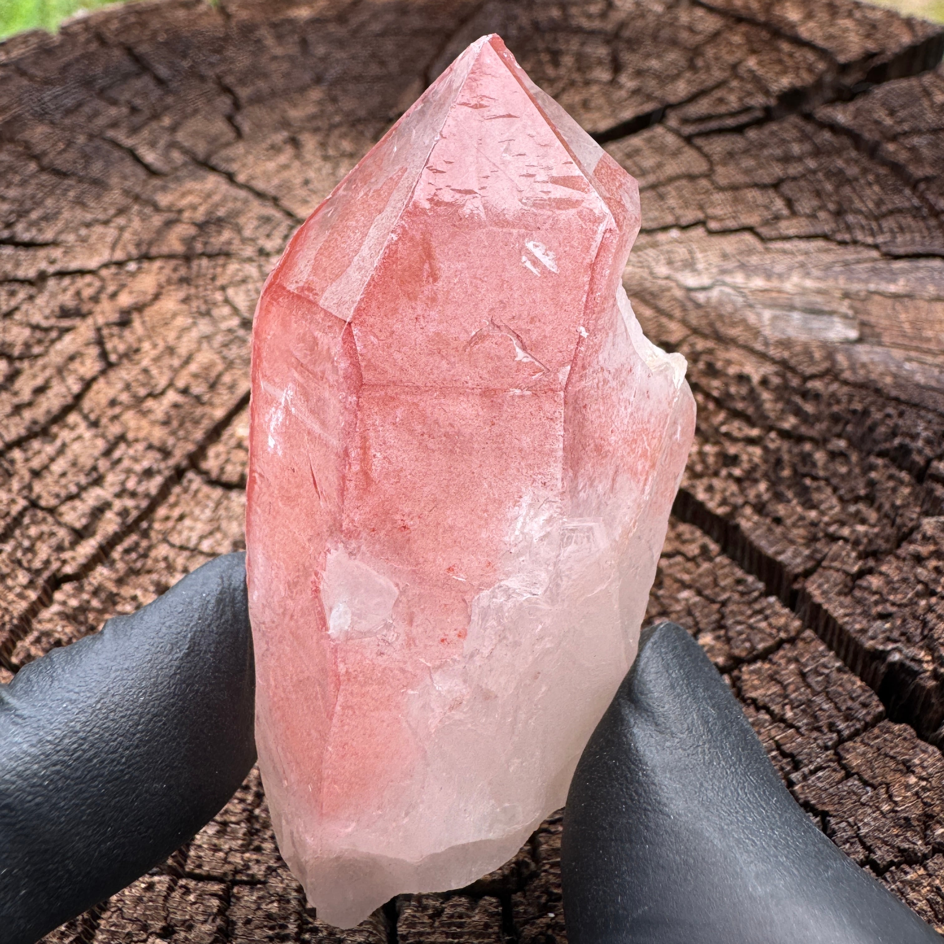 超激レア　ダウ・クリスタル　レムリアンシード　クリスタル　レムリアンリッジ 超激レア ダウ・クリスタル レムリアンシード クリスタル レムリアン