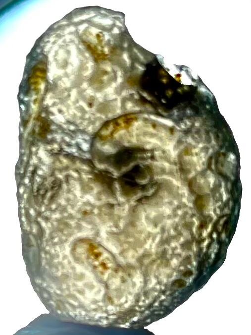 9) 霊的成長・変容「霊性コロンビアナイト」ミニ