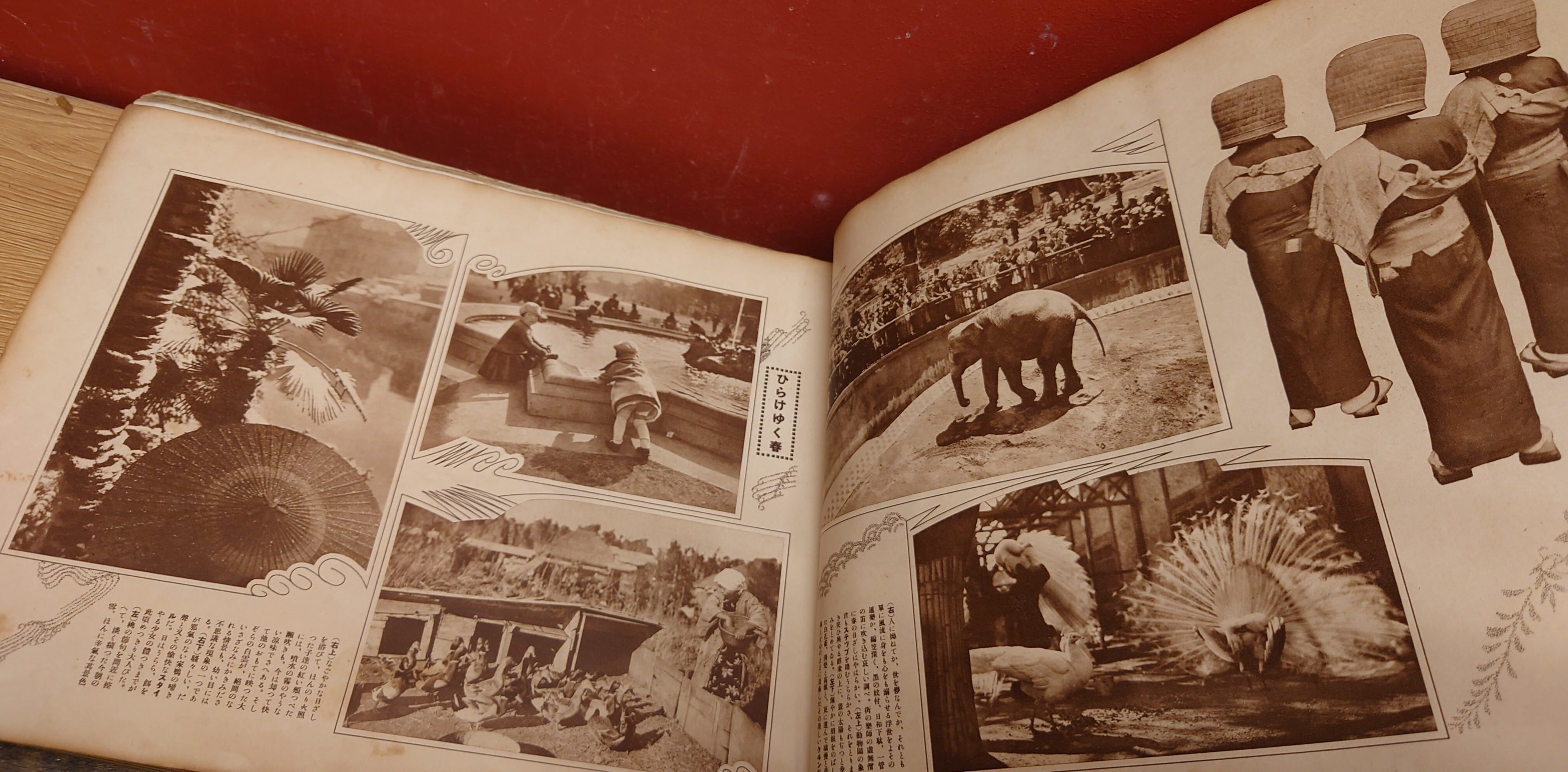 日本の歴史写真集 古書 歴史写真帖 Z8 日本の歴史写真集 古書 歴史写真帖 Z8 日本の歴史写真集 古書 歴史写真