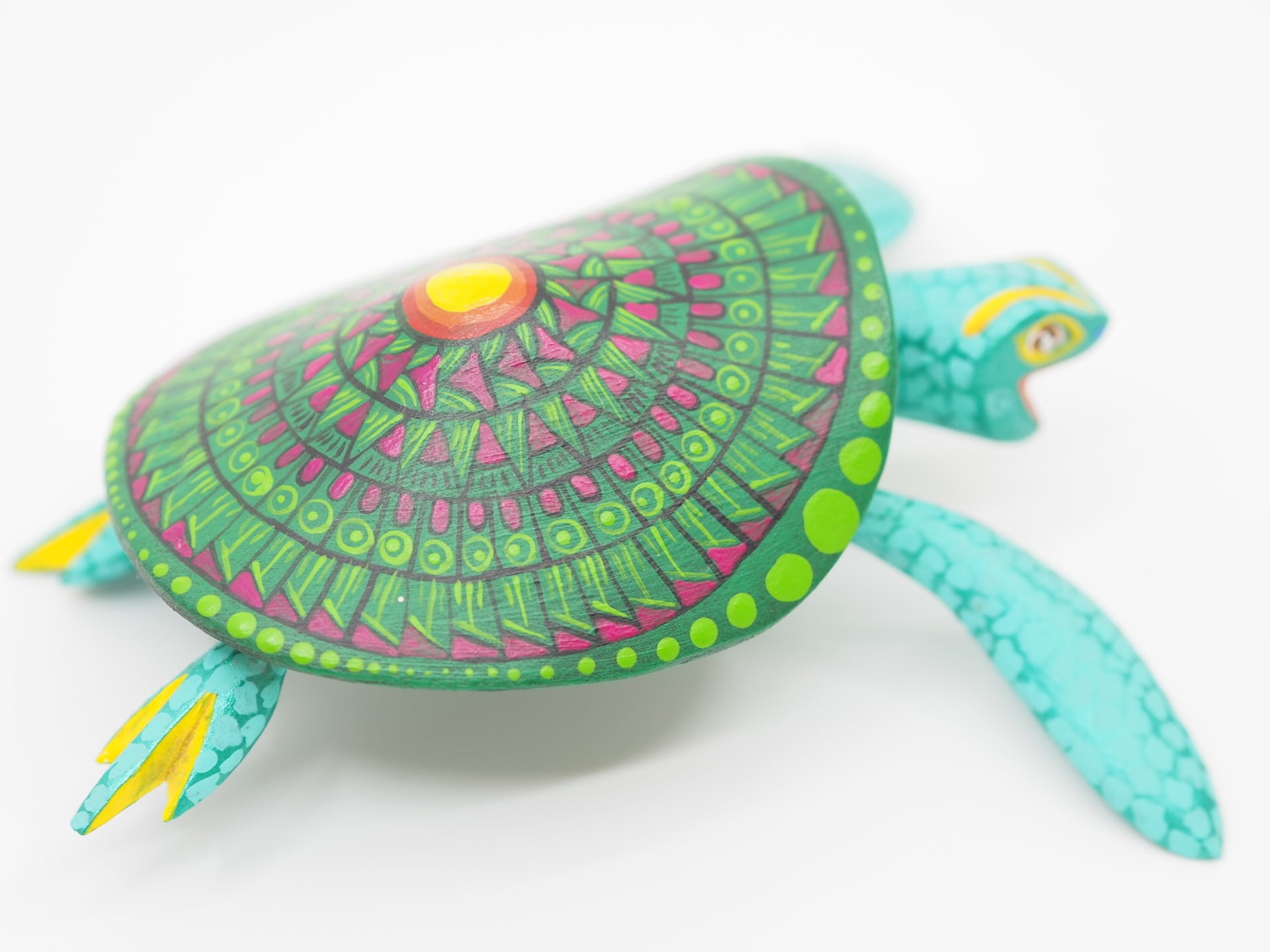 アレブリヘス 大きなカメ | Caracol | メキシコの彩りを日々の暮らしに