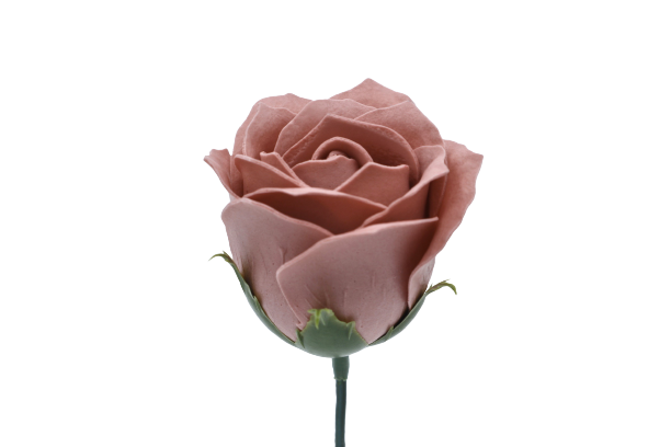 プリンセスバラS-P5 ヌードピンク (15輪入りor25輪入り)