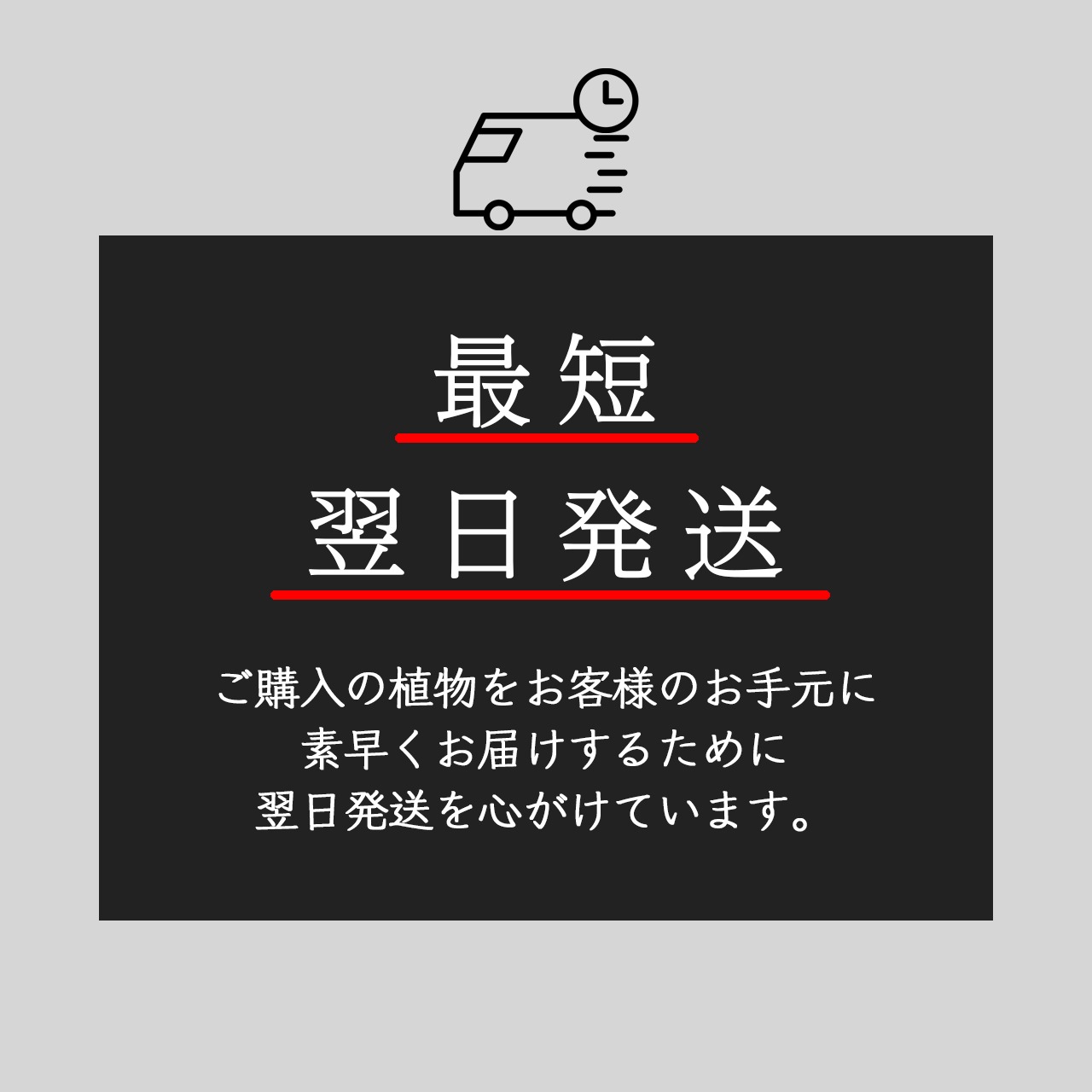 フレグラーポット 21型 IV