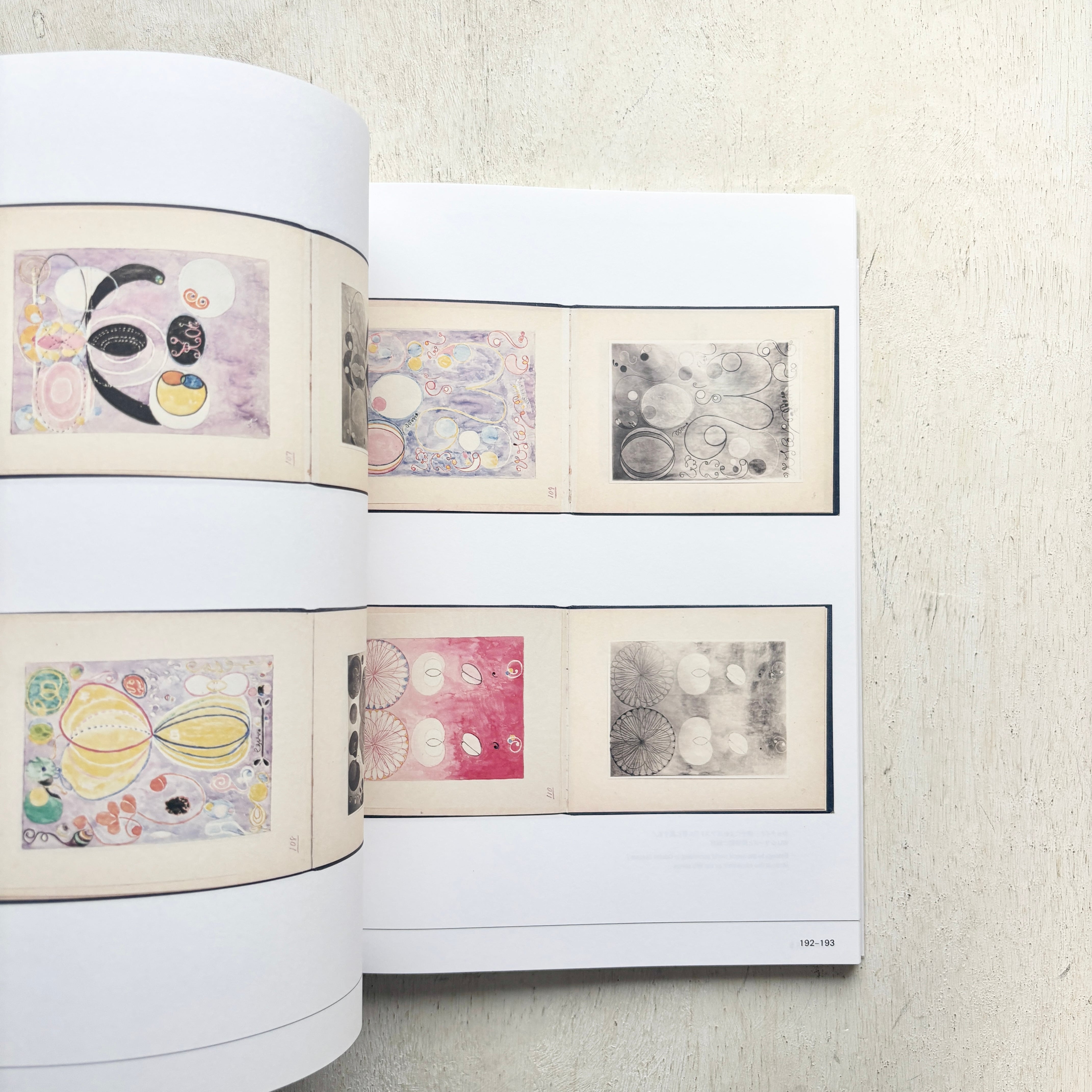 図録 ヒルマ・アフ・クリント展 | folklora