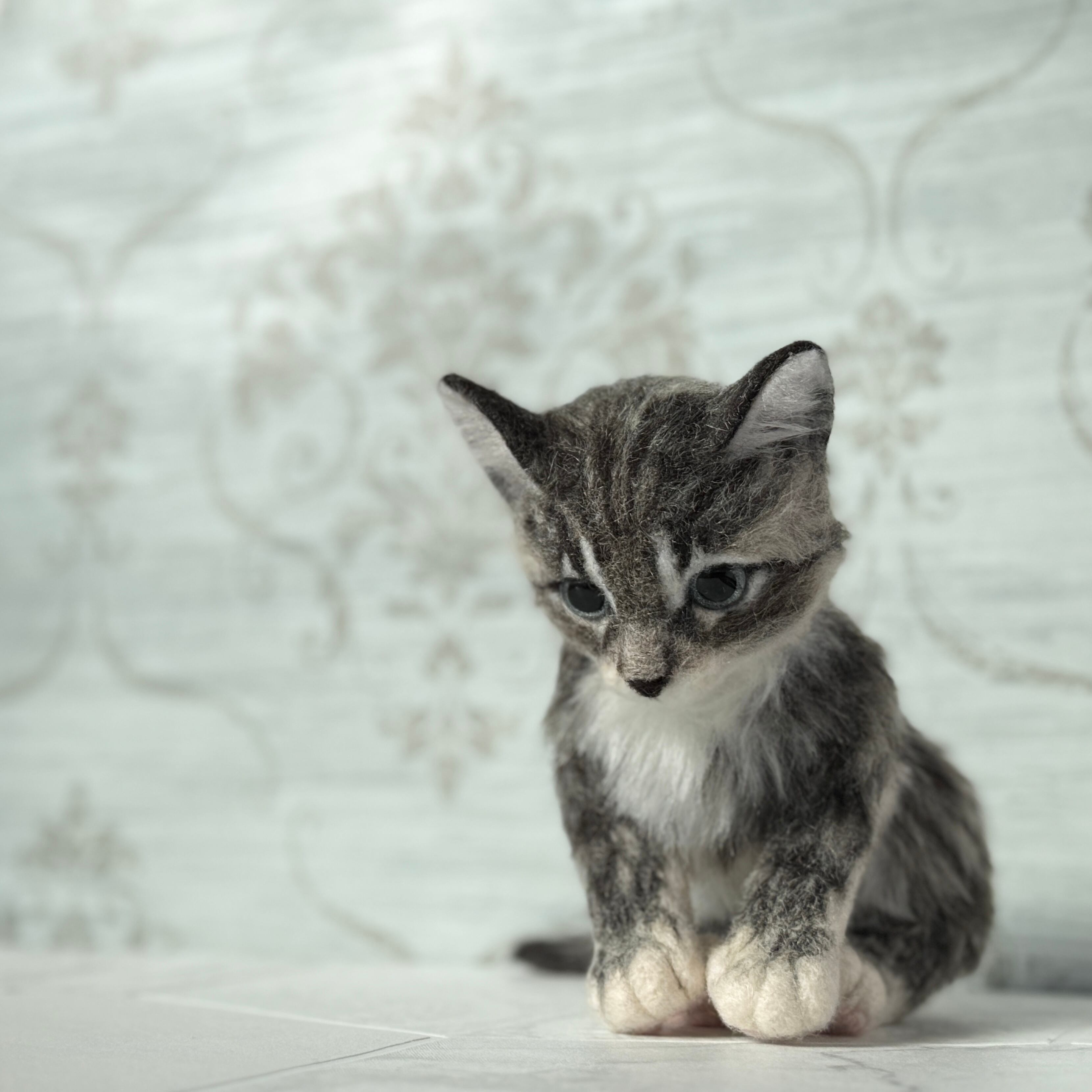 サバトラの仔ネコ 26F2SF 《にゃぴーし2026 猫の日キャンペーン商品