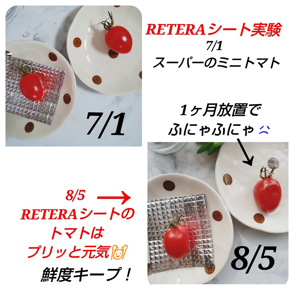 宇宙からの波動❱テラヘルツ量子波を全身に浴びるアルミシート1/2 