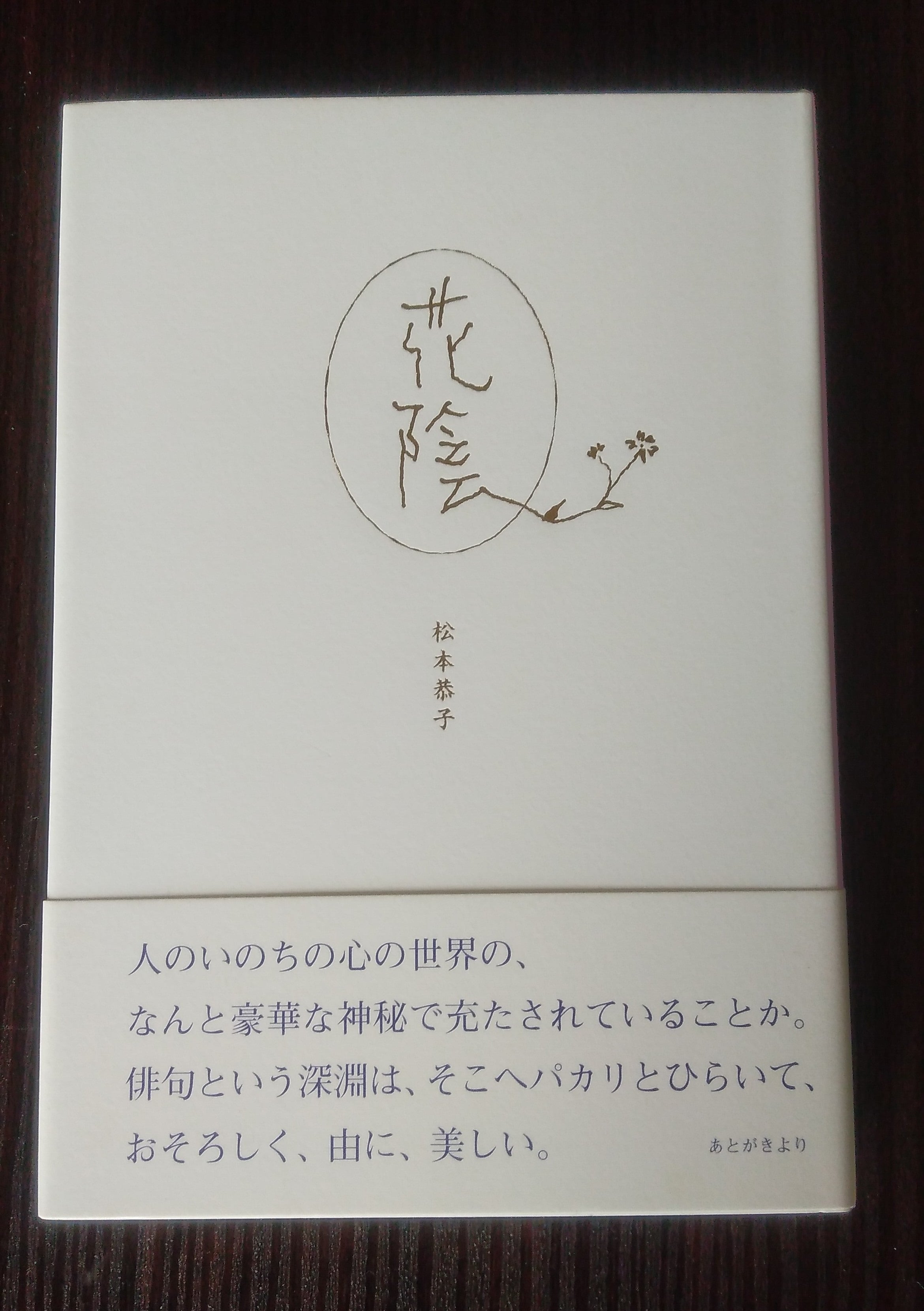洋書◇インディアン写真集 本 ネイティブアメリカン 工芸品 民族 文化
