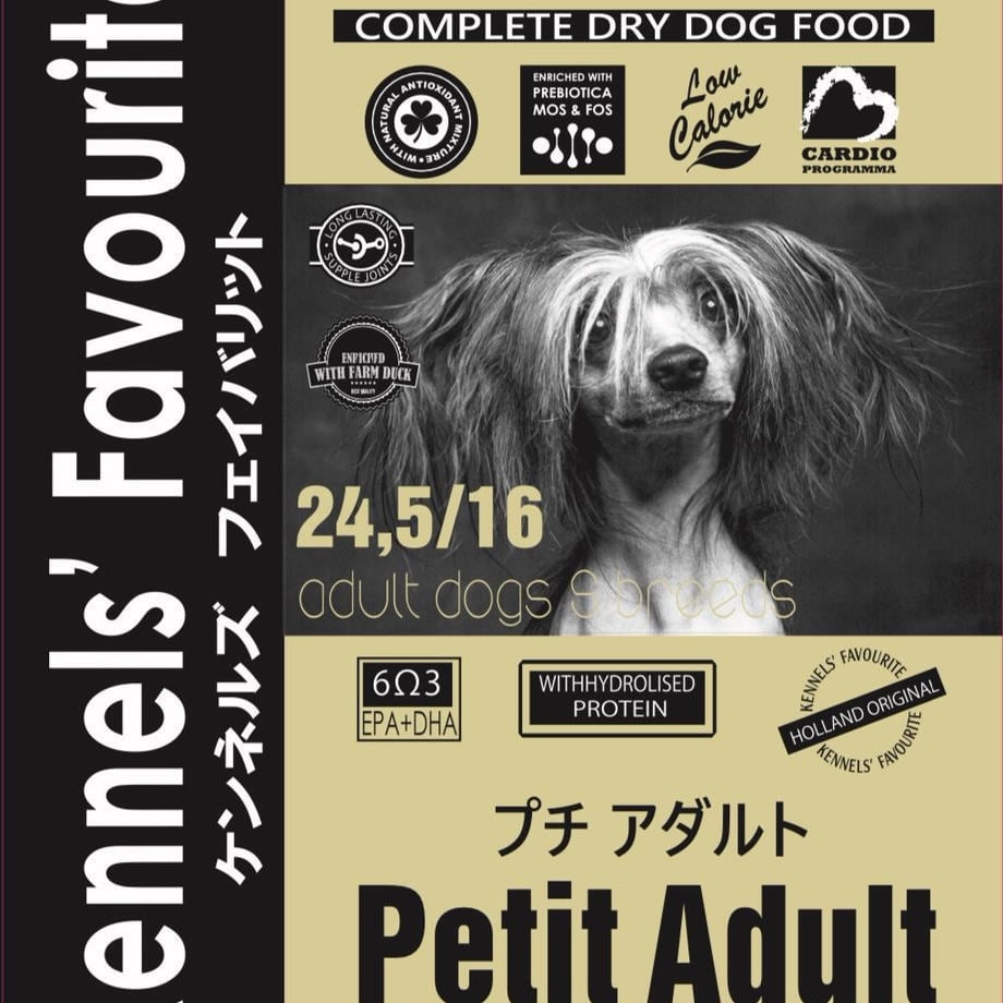 ふぉうちゅんドッグす〈初回限定版〉全10巻セット ふぉうちゅんドッグす〈初回限定版〉全10巻セット Amazon.co.