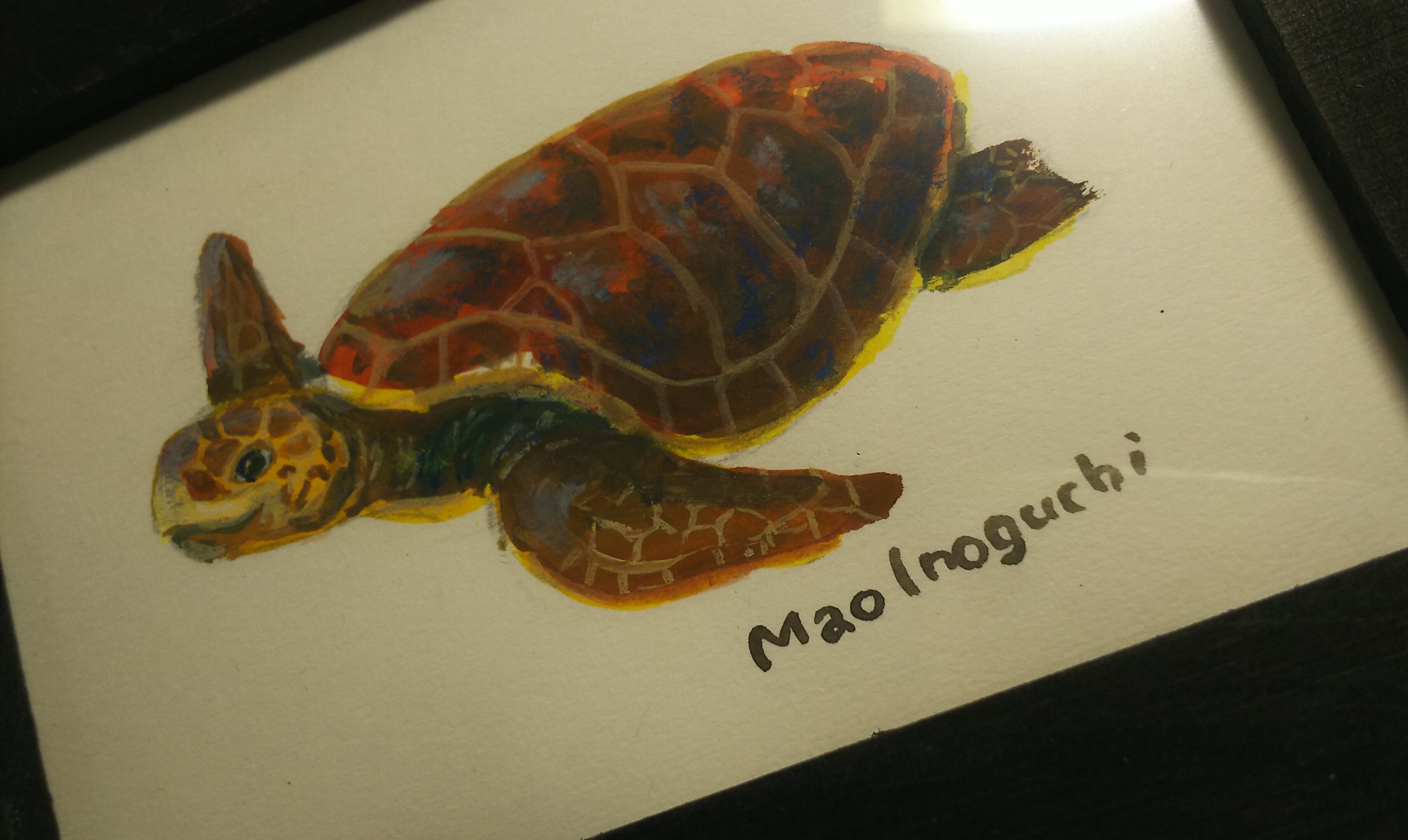 アカウミガメ イラスト のんびり堂
