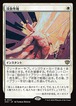 MTG《浸食作用/Erode(SOS)》日本語