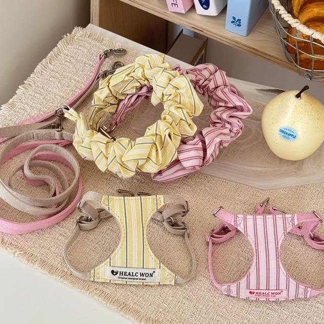stripe frill harness & leash set