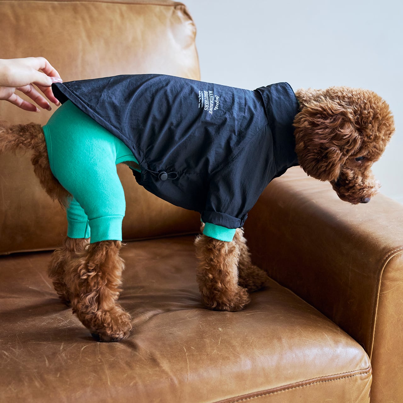 WINDBREAKER（XL.XXL） ウインドブレーカー | MANDARINE BROTHERS