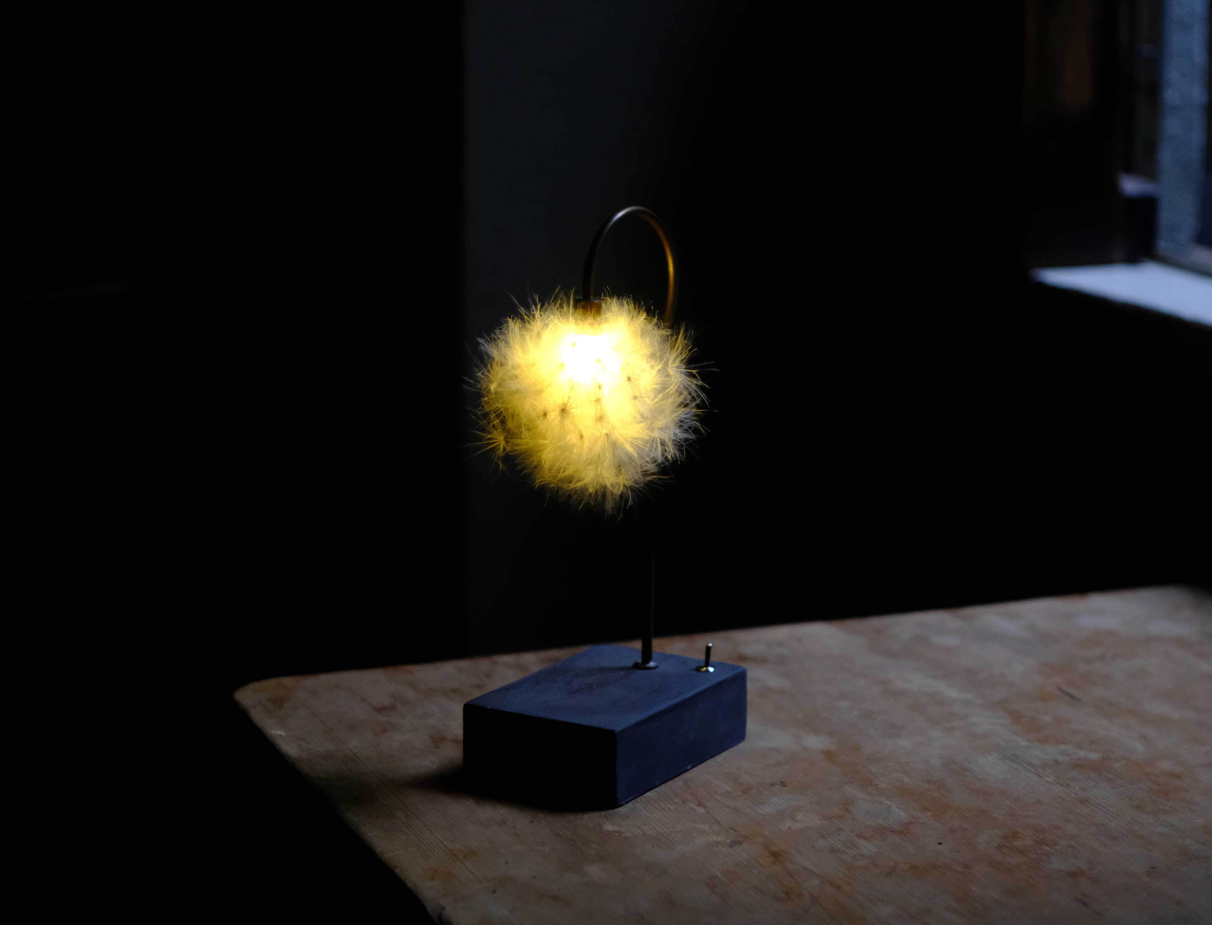 The FINAL EXHIBITION] 森の小さな灯 no.22 アザミ | はいいろオオカミ