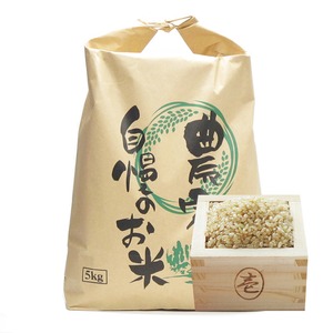 令和7年南会津産ひとめぼれ5kg(玄米)