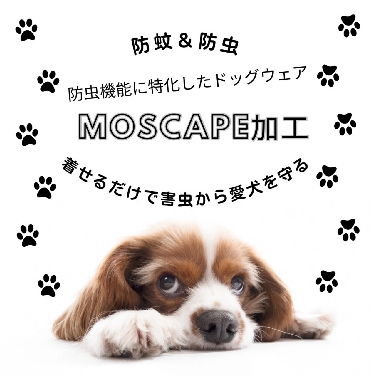 i Dog MOSCAPE くまさんタンク i DOG fleur 防蚊アイドッグ 17195