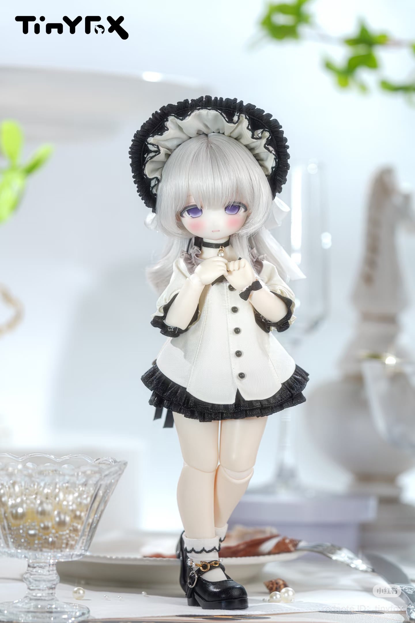 ◇当店予約枠◇ミス・オイスター「ウェステ」WUESTE（フルセット