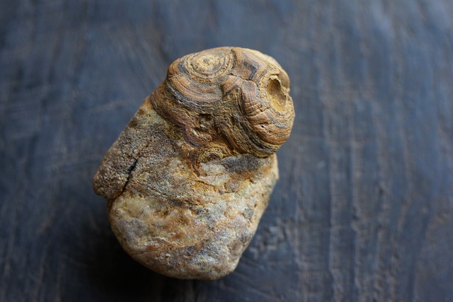 ゴビアゲート Gobi Desert Eye Agate　土偶