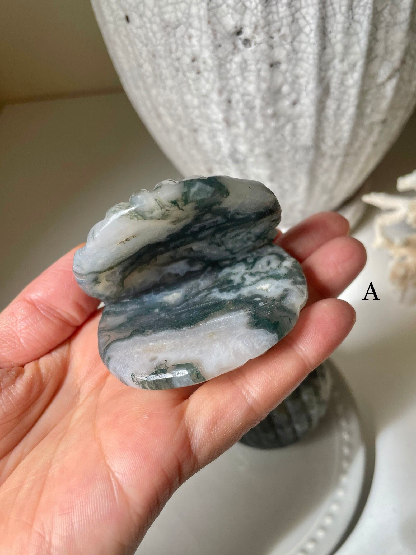 Moss Agate Shell / モスアゲート　貝