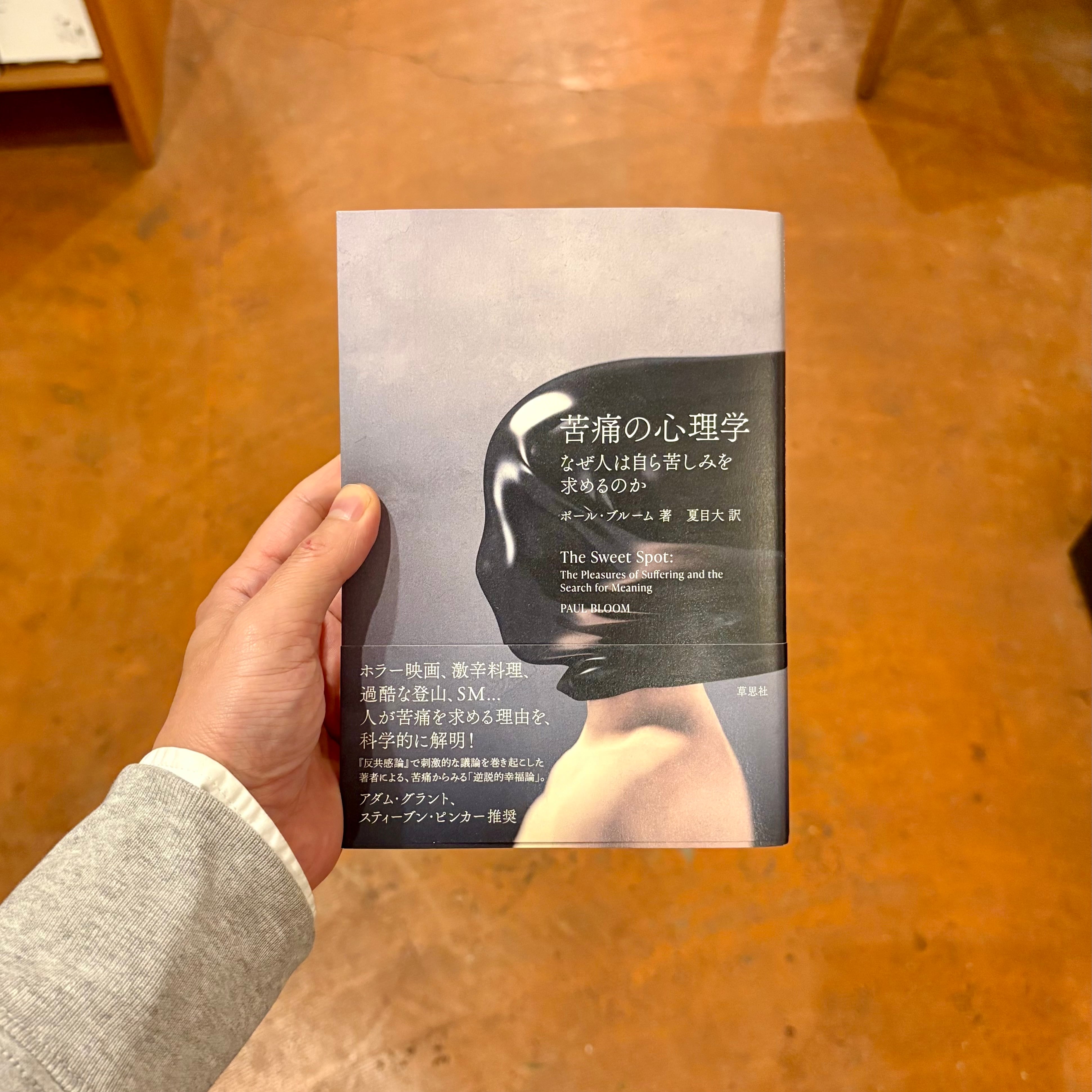 イメージ、それでもなお アウシュヴィッツからもぎ取られた四枚の写真