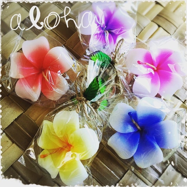 ウリウリバック 3点SET♪white Pink Hibiscus | &.Aloha あんど.あろ