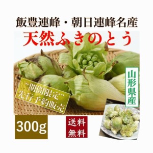 早期予約受付中 天然山菜 天然ふきのとう ３００ｇ/袋　自然の恵み　限定予約販売　送料無料