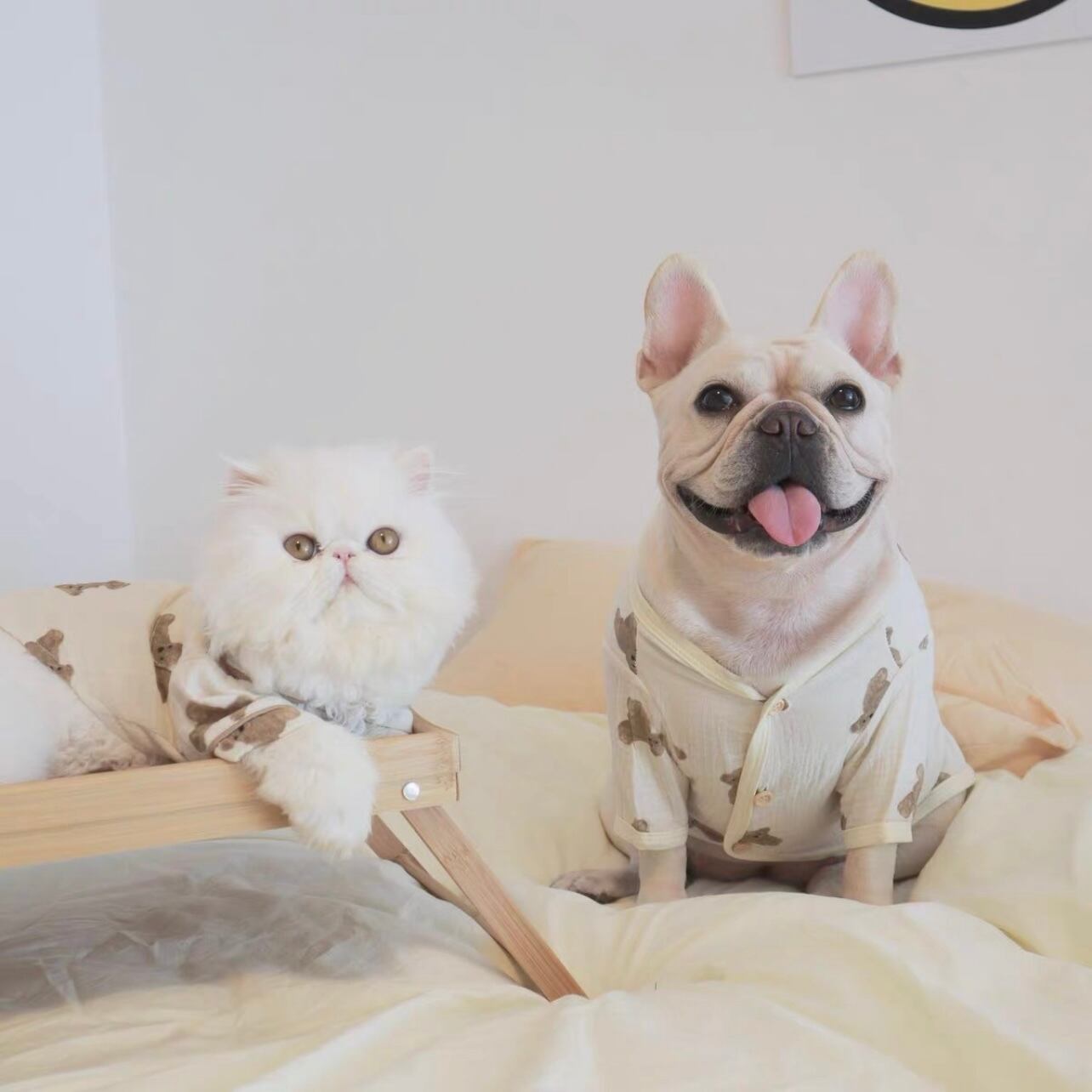 即納 1 3日でお届け 愛犬とペアルックが出来る ベアー ルームウェア ワンピース パジャマ Ey0607 Eyes Line アイズライン 犬服 ドッグウェア