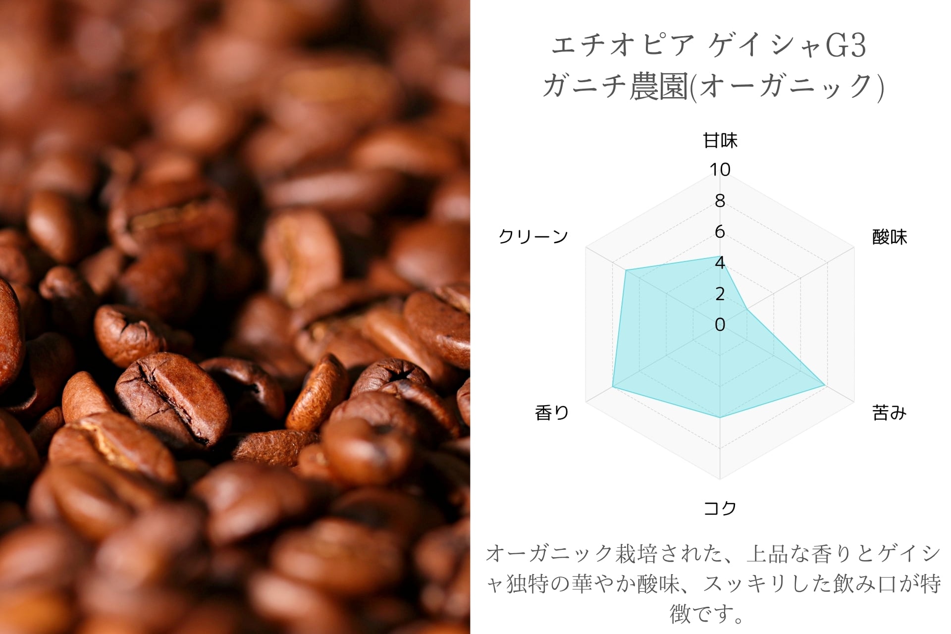 ゲイシャ・ナチュラル ガニチ農園 オーガニック 400g | 自然豊かな自家