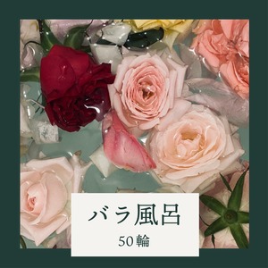 【1週間後発送】バラ風呂50輪