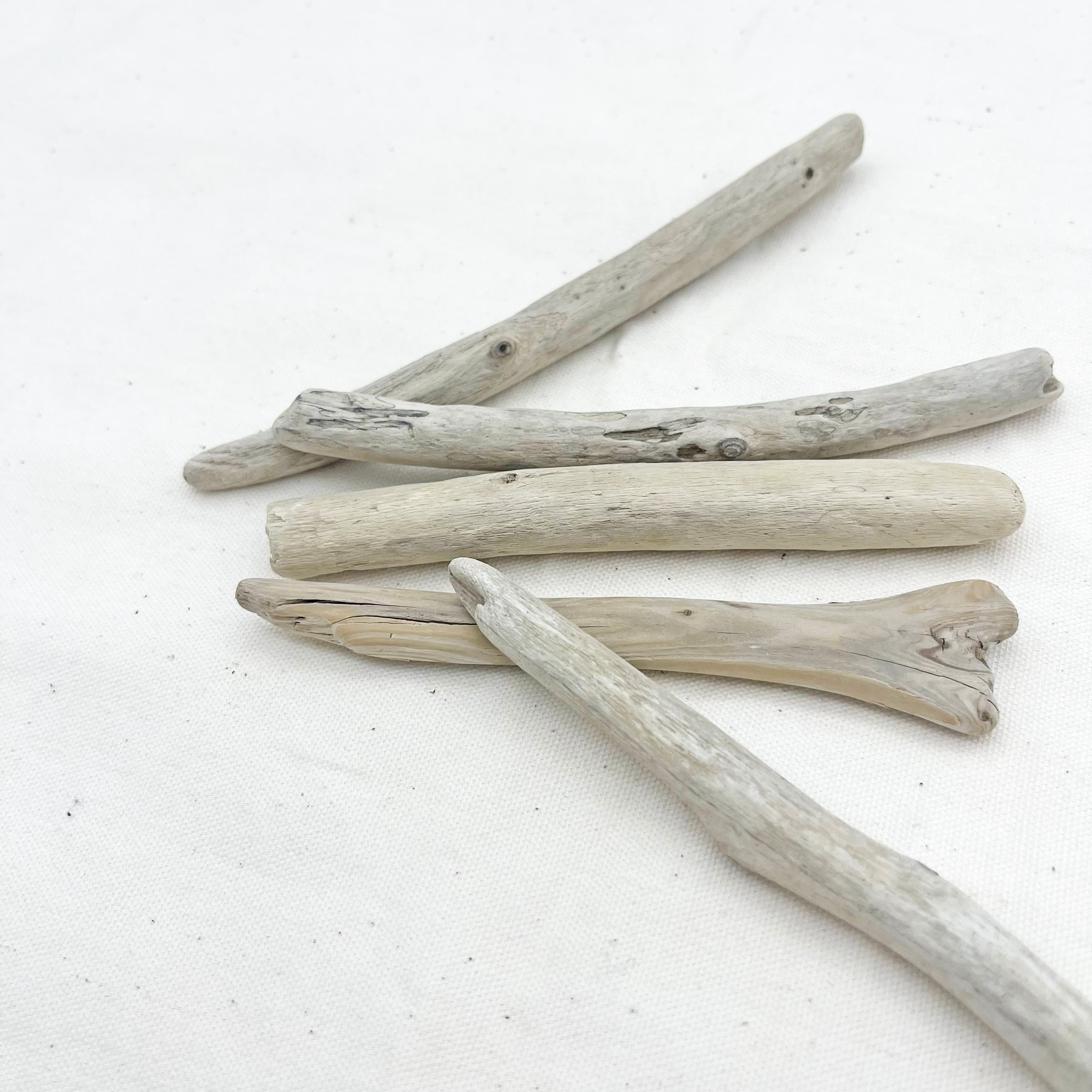 流木 5点セット 自然素材