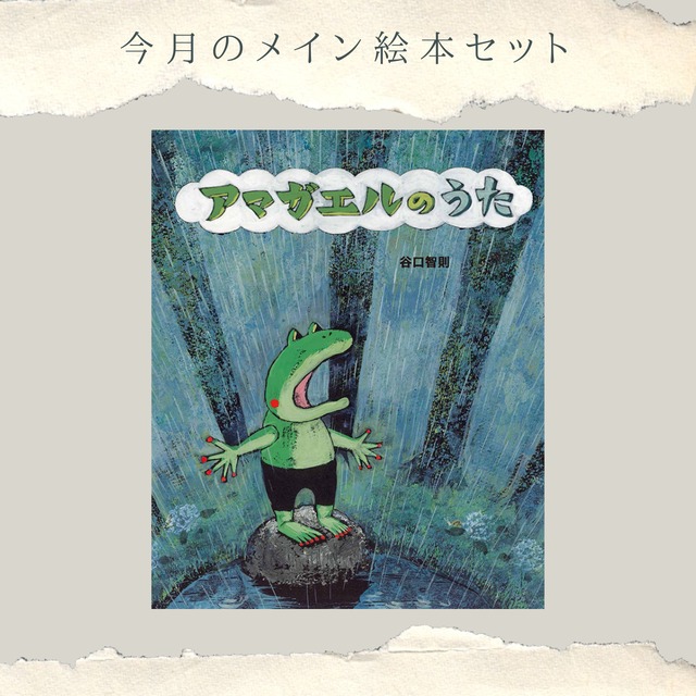【ファミリー限定サイン本】アマガエルのうた