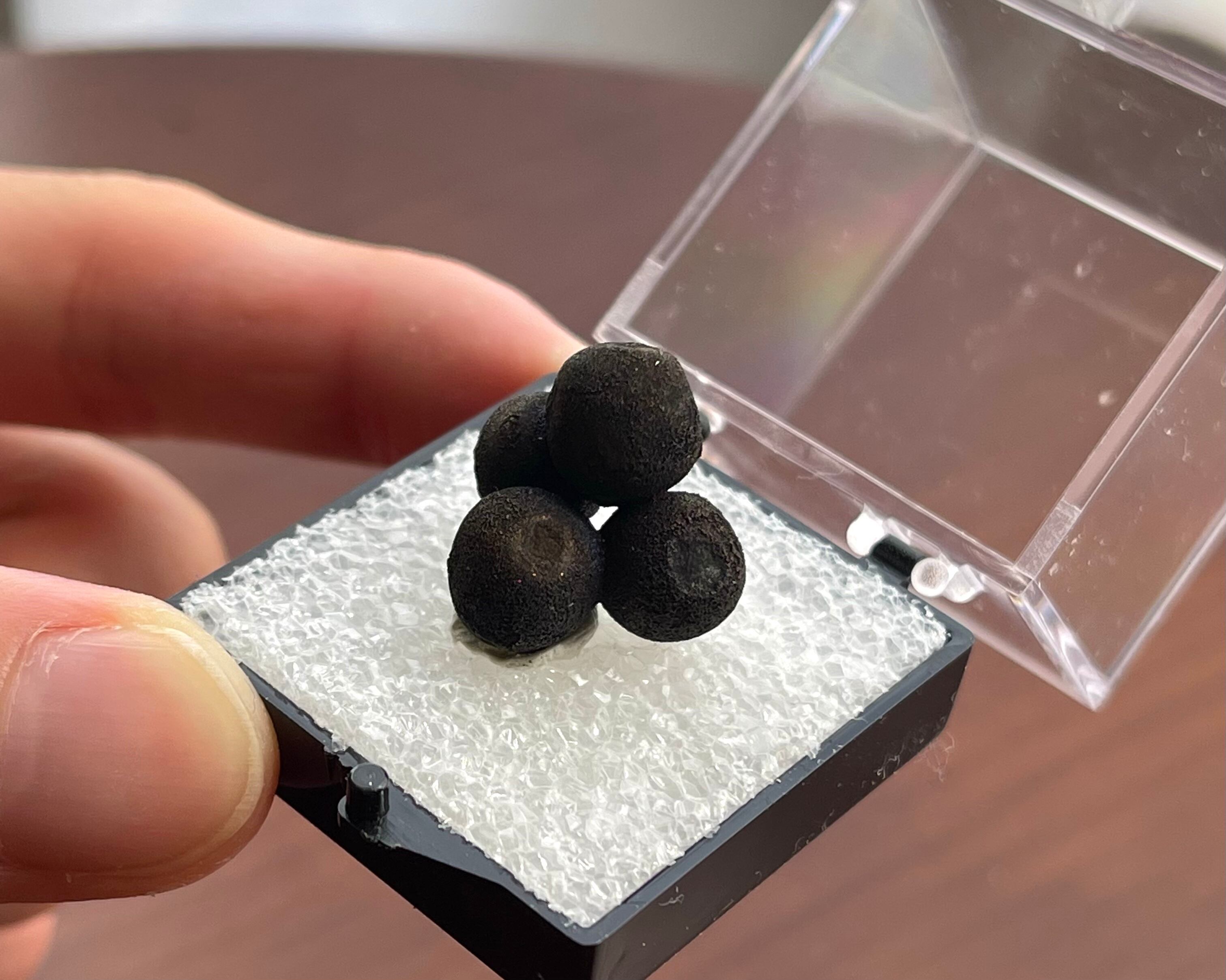 キャルコパイライト【Chalcopyrite】中国産 | PEANUTS MINERALS