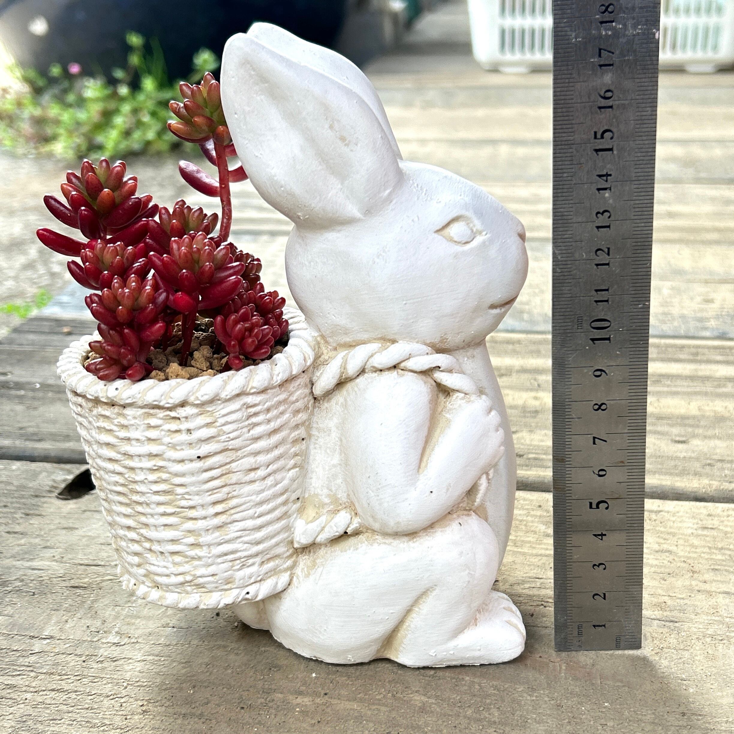 T)可愛いうさぎ鉢(虹の玉入り | RuPo 多肉植物専門店