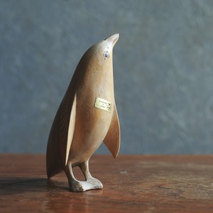 空を見上げる、愛らしいペンギン