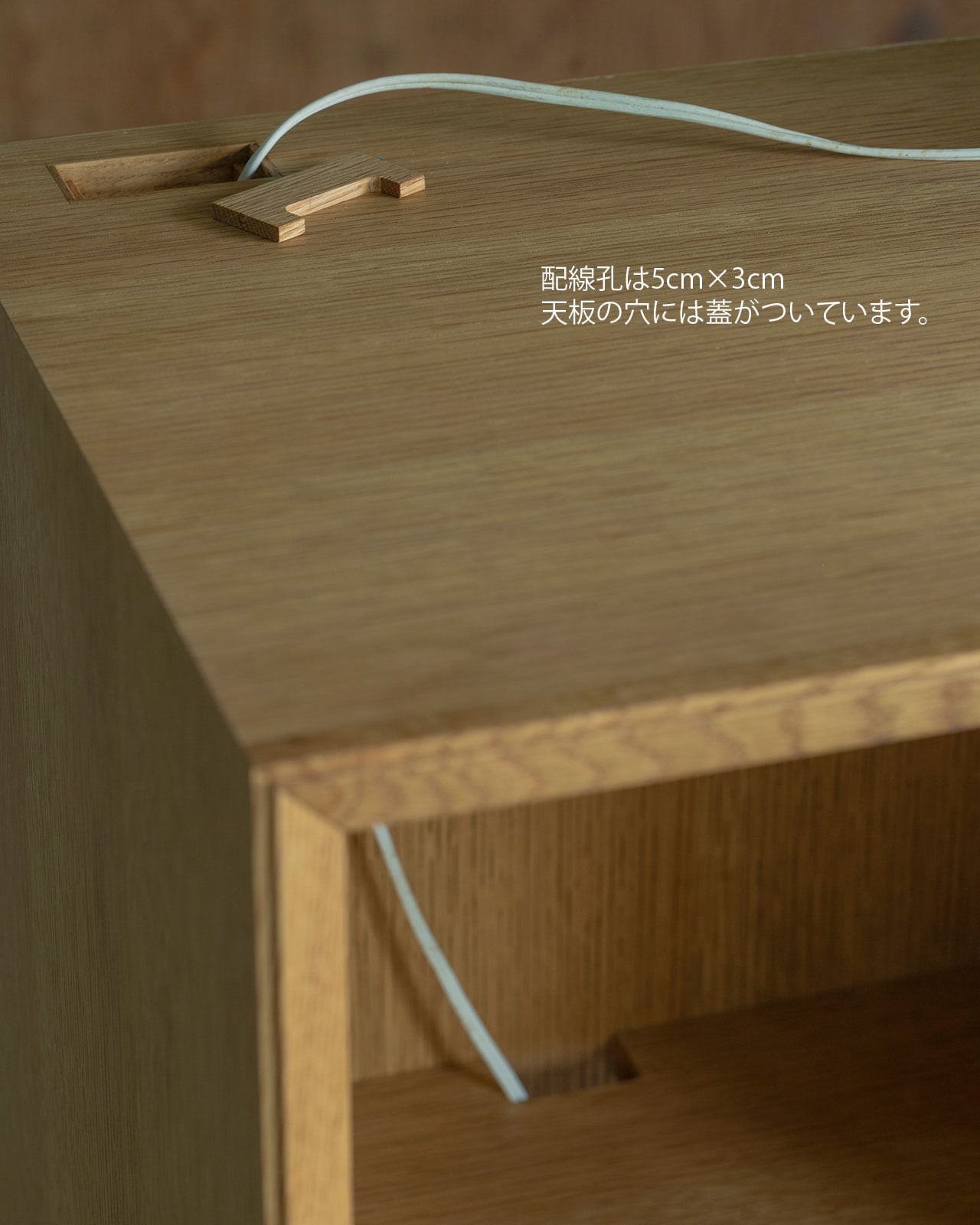 Record Shelf DT200 | MOBLEY WORKS ONLINE SHOP｜モーブレーワークス