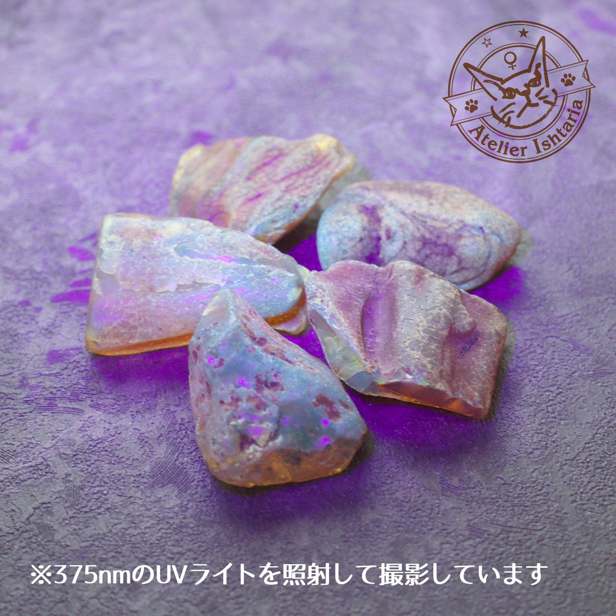 ランダム発送】バルティックアンバー原石 A【ポーランド産】／琥珀