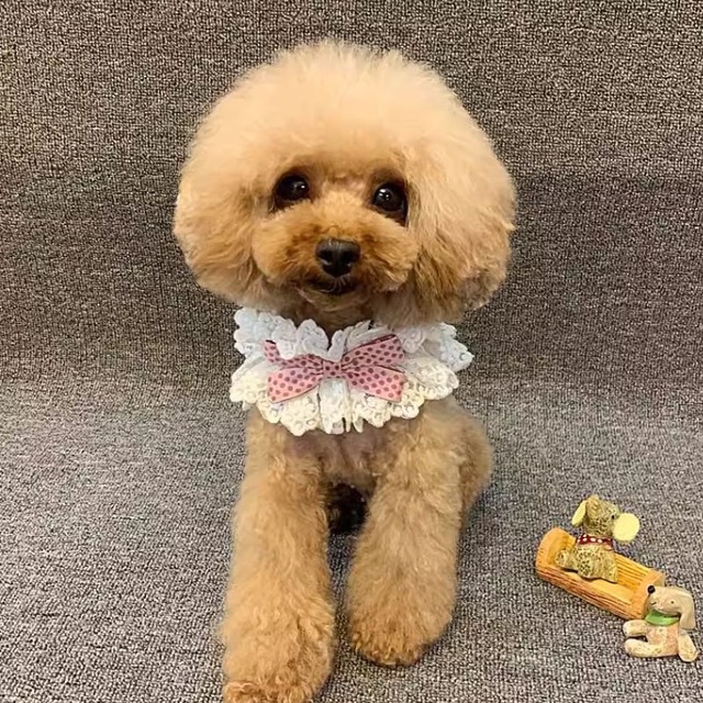 ペット用リボンレーススタイ／チョーカー　00306