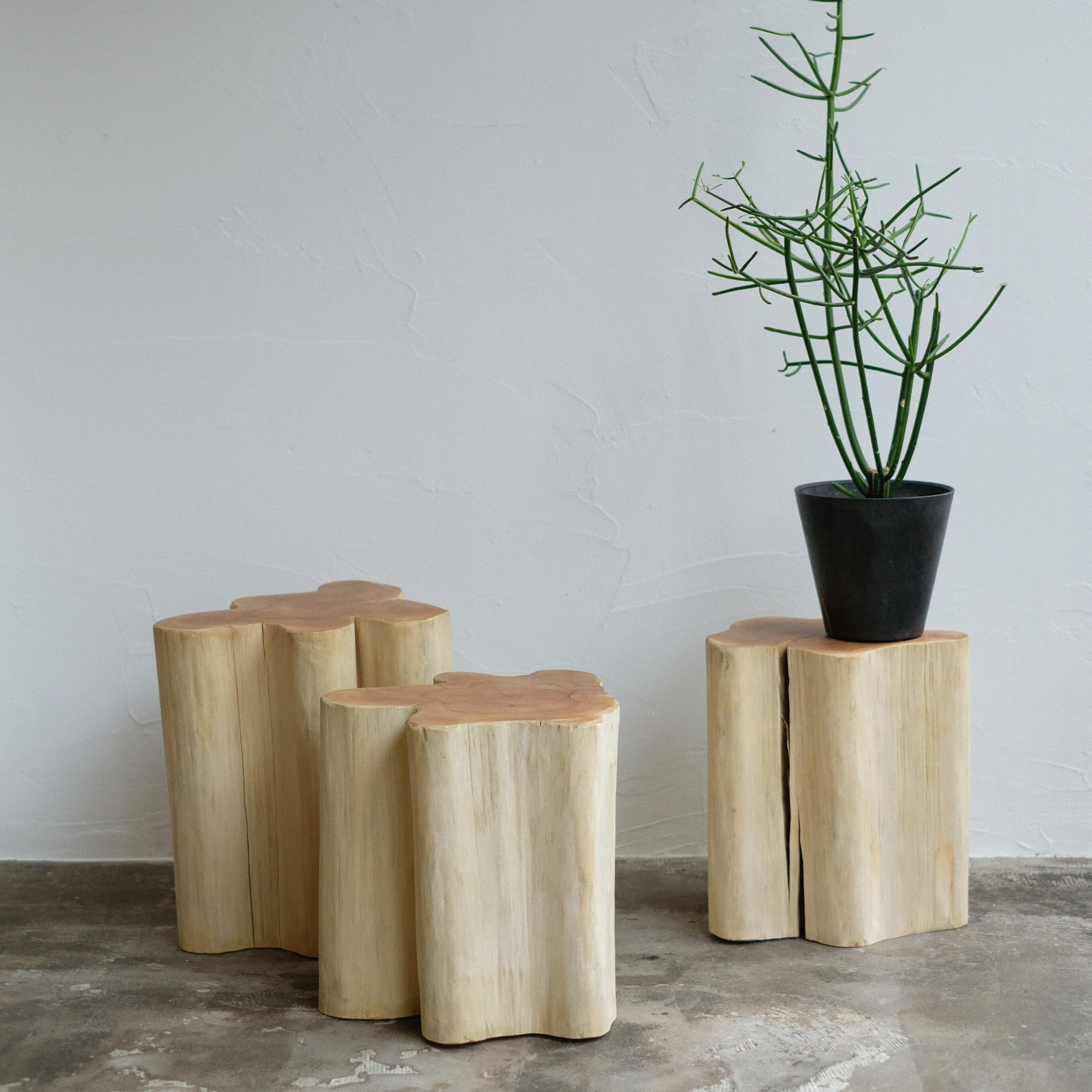 LIMITED / 限定販売商品 | WEST VILLAGE TOKYO