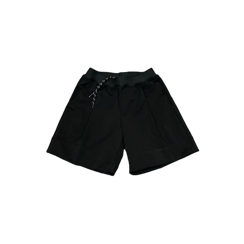 《MOUNTEN. 2024SS》hyper stretch truck shorts / black