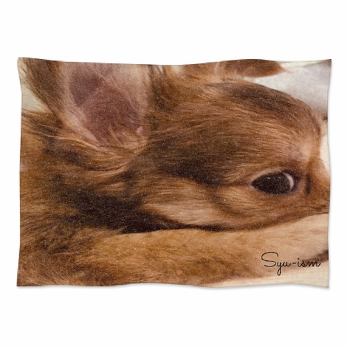 ブランケット  犬