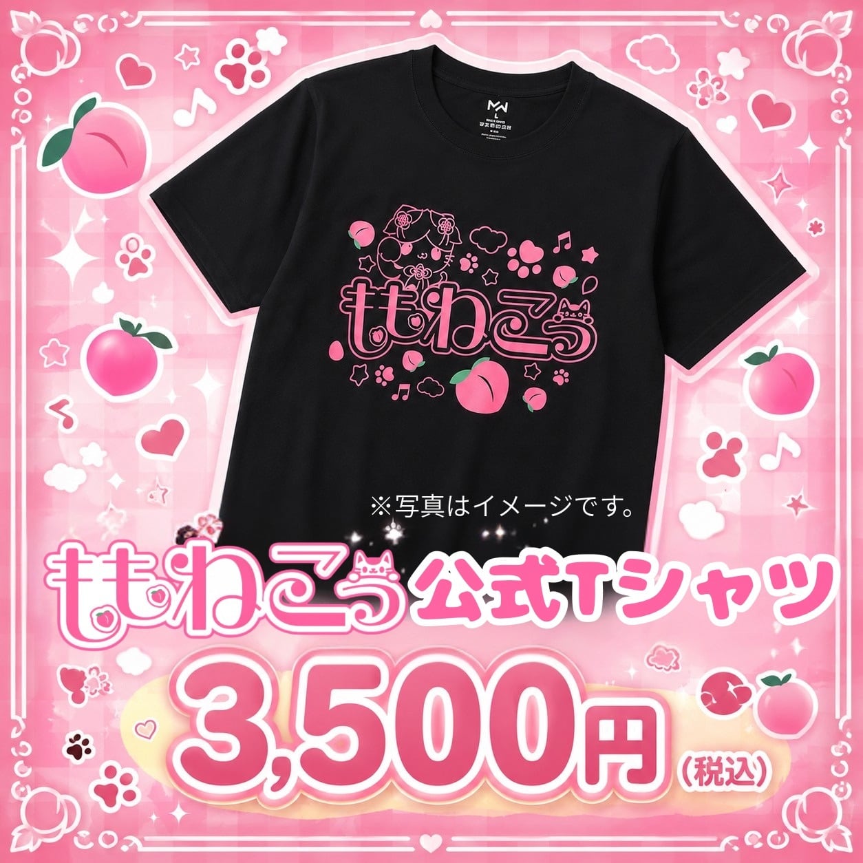 ももねこっ | アニソンバーもふギル堂
